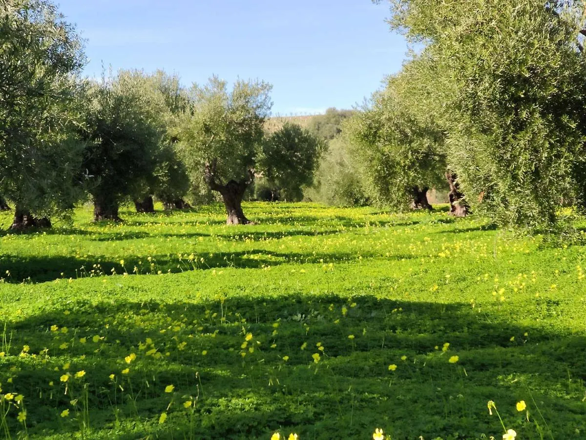 Finca Las Rosas De Santa Ana Villamartín